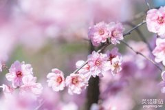 望城建站公司優化